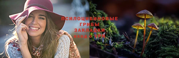скорость Нягань