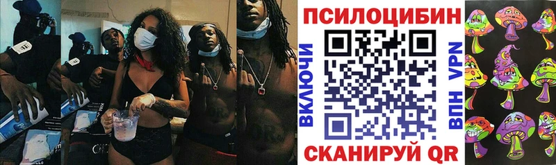 купить наркотик  кракен зеркало  дарк нет официальный сайт  Аксай  Галлюциногенные грибы мицелий 